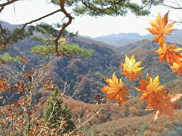 湛江市霞山最新二手房